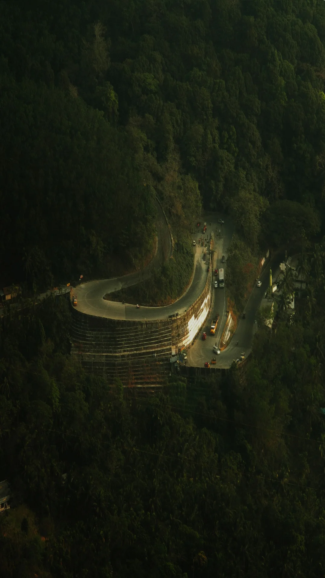 Lush green valleys of Wayanad Kerala — She's Premium Foods